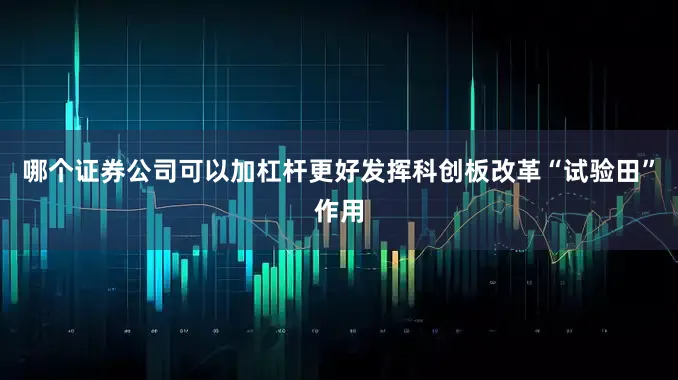 哪个证券公司可以加杠杆更好发挥科创板改革“试验田”作用