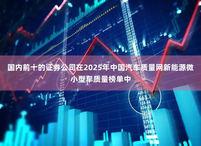 国内前十的证券公司在2025年中国汽车质量网新能源微小型车质量榜单中