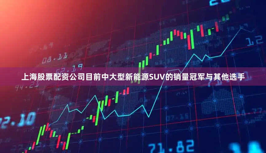 上海股票配资公司目前中大型新能源SUV的销量冠军与其他选手
