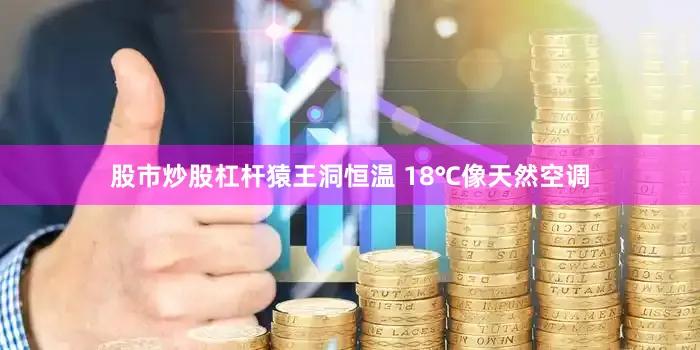 股市炒股杠杆猿王洞恒温 18℃像天然空调